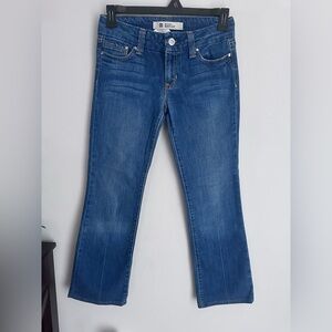 Gap Straight Bootcut Women’s Jeans Low Rise Size 4 Regular